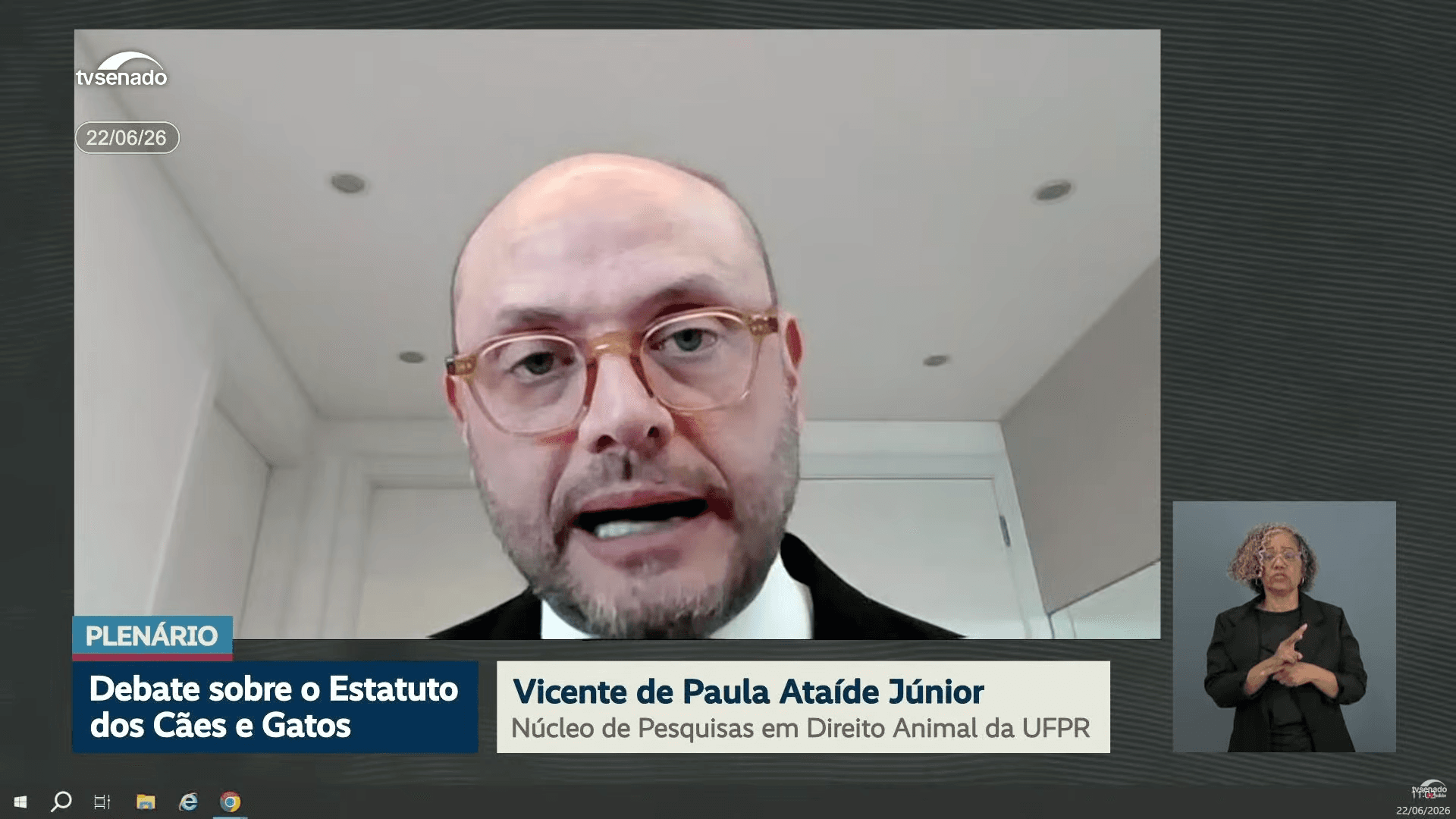 Estatuto dos Cães e Gatos avança no Senado e coloca o Direito Animal no centro do debate jurídico